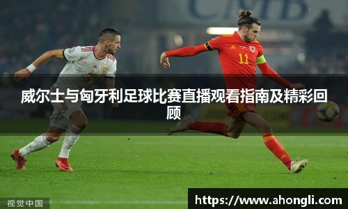 威尔士与匈牙利足球比赛直播观看指南及精彩回顾