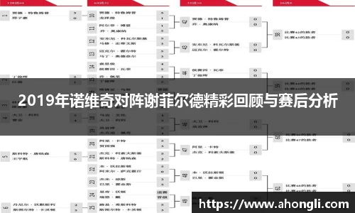 2019年诺维奇对阵谢菲尔德精彩回顾与赛后分析
